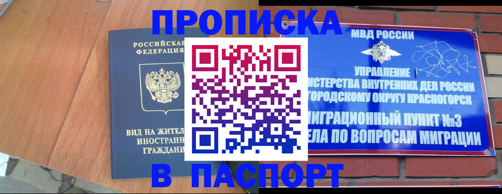 найти адрес прописки в Холмске